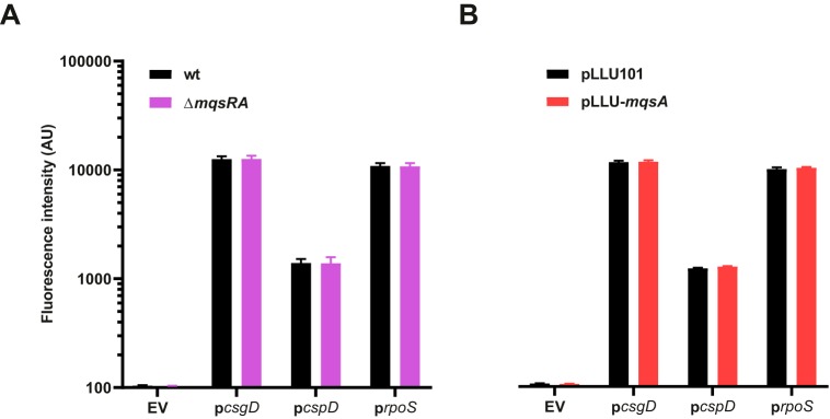 FIG 3