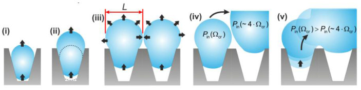 Figure 30