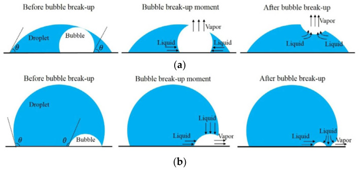 Figure 24