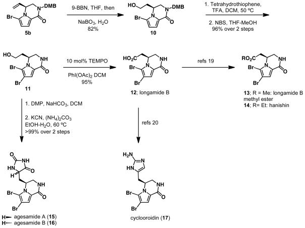 Scheme 2