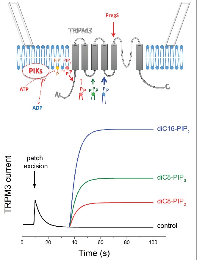 Figure 1.