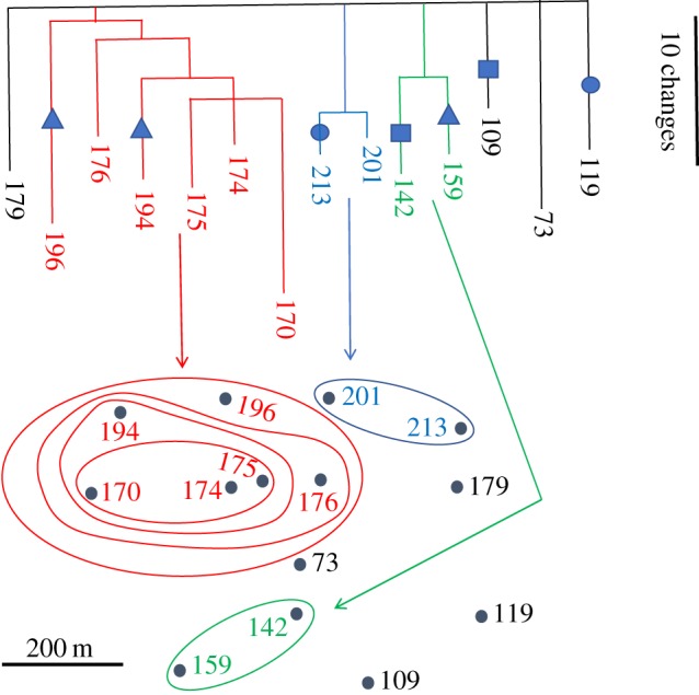 Figure 2.