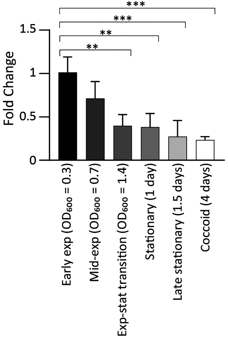 Figure 2