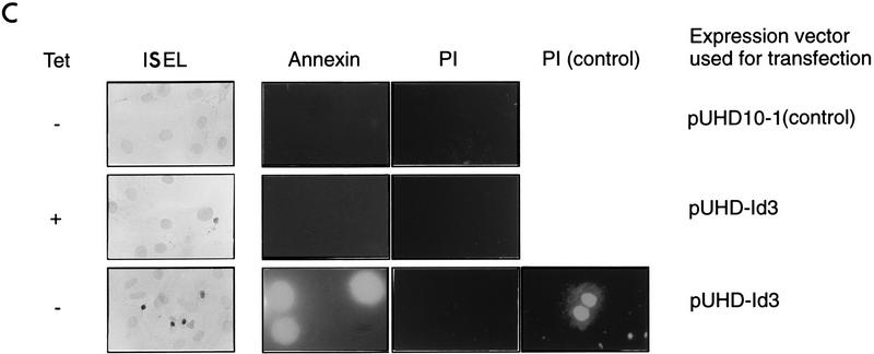 FIG. 6