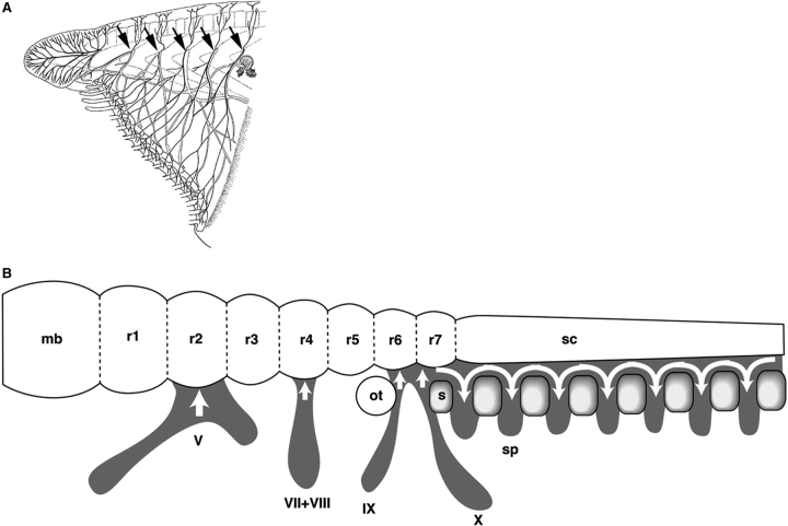 Fig. 4