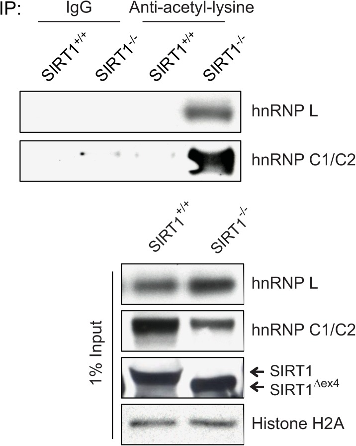 Fig 5