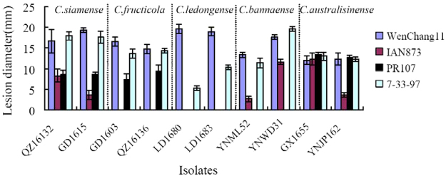 Figure 4