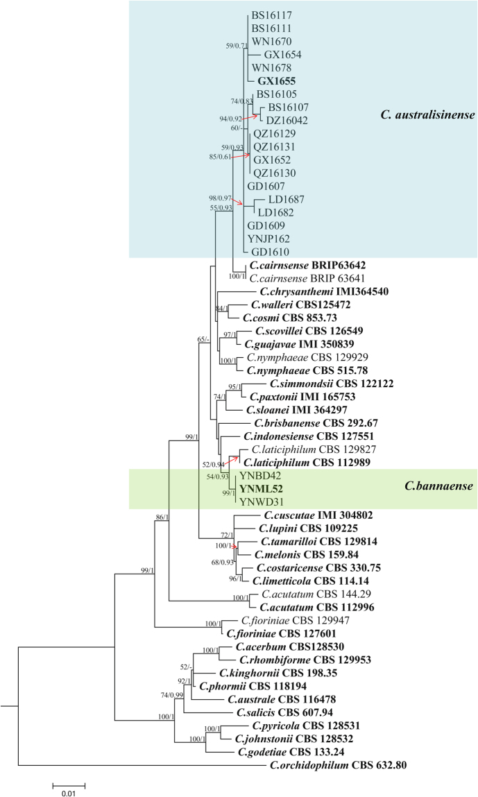 Figure 2