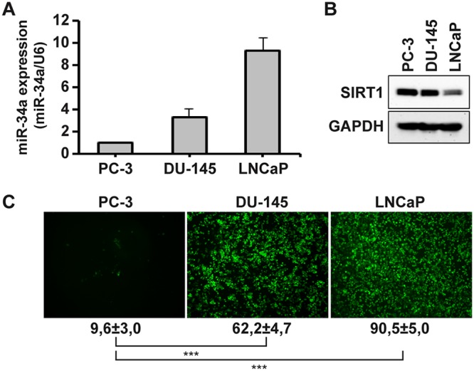 FIG 6