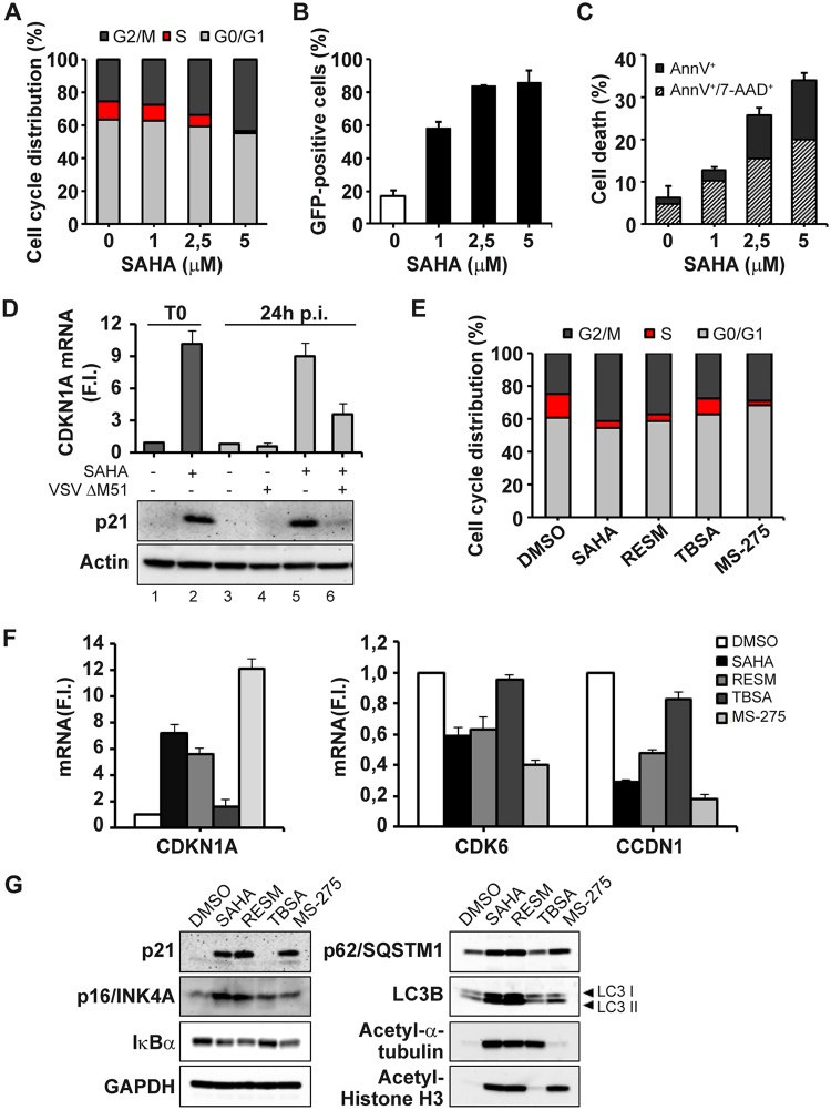 FIG 1