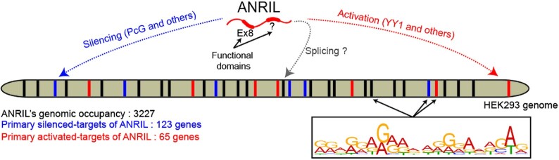 Figure 7.