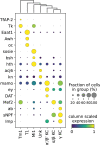 Figure 10—figure supplement 1.