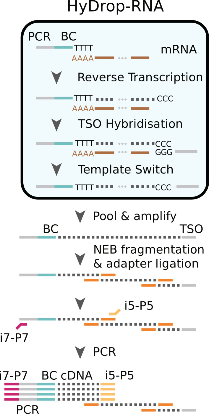 Figure 7.