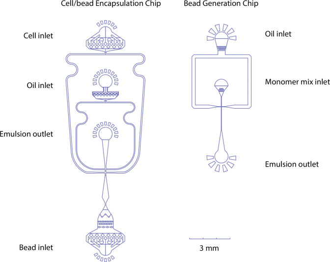 Figure 3—figure supplement 1.