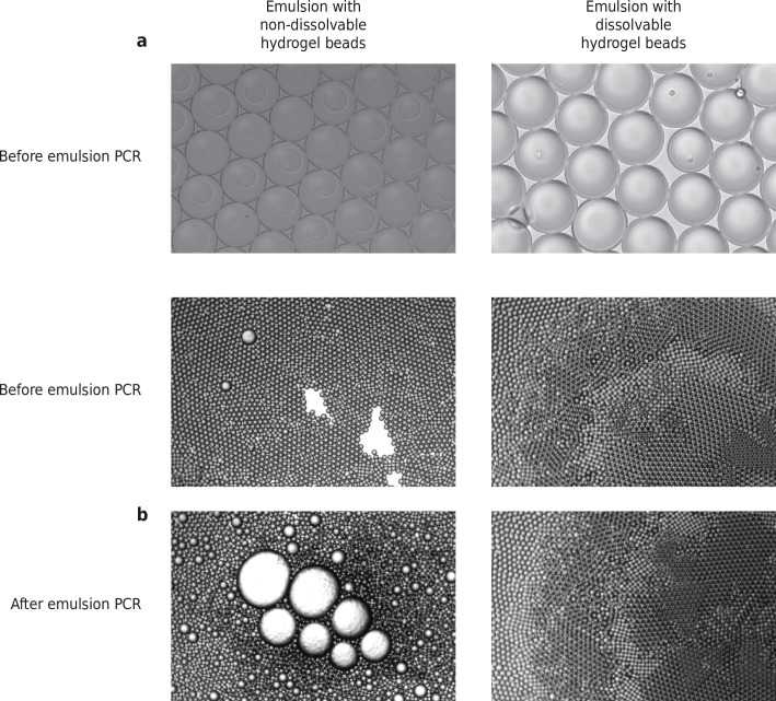 Figure 1—figure supplement 5.