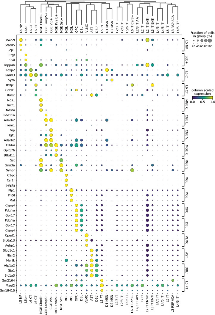 Figure 9—figure supplement 1.