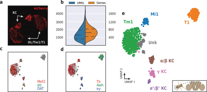 Figure 10.