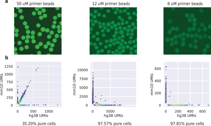 Figure 1—figure supplement 6.