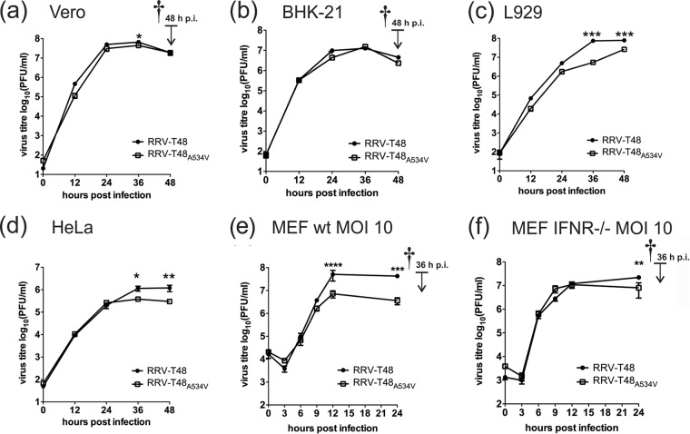 FIG 1 