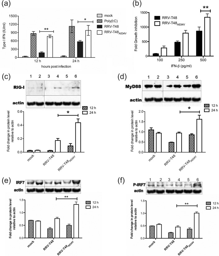 FIG 2 