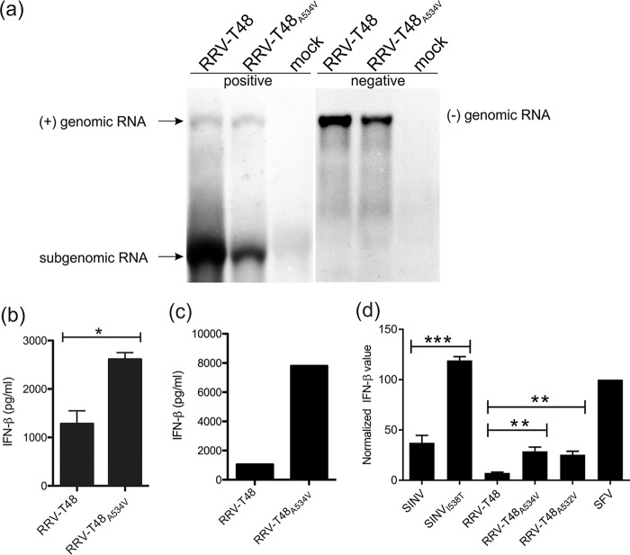 FIG 6 