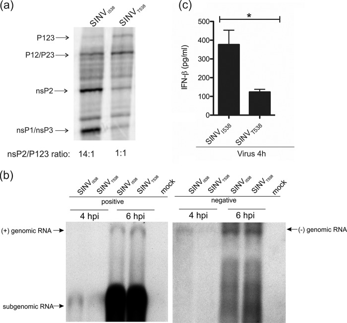 FIG 5 