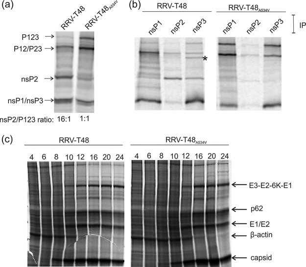 FIG 3 