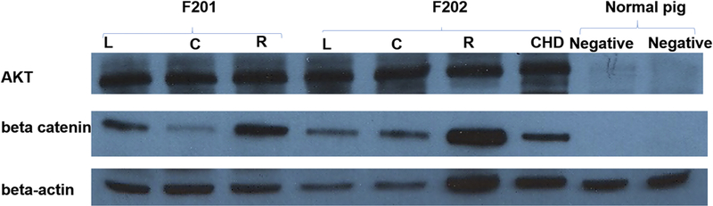 Figure 3: