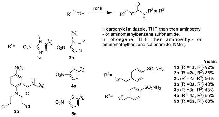 Scheme 1