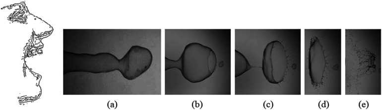 FIG. 1.