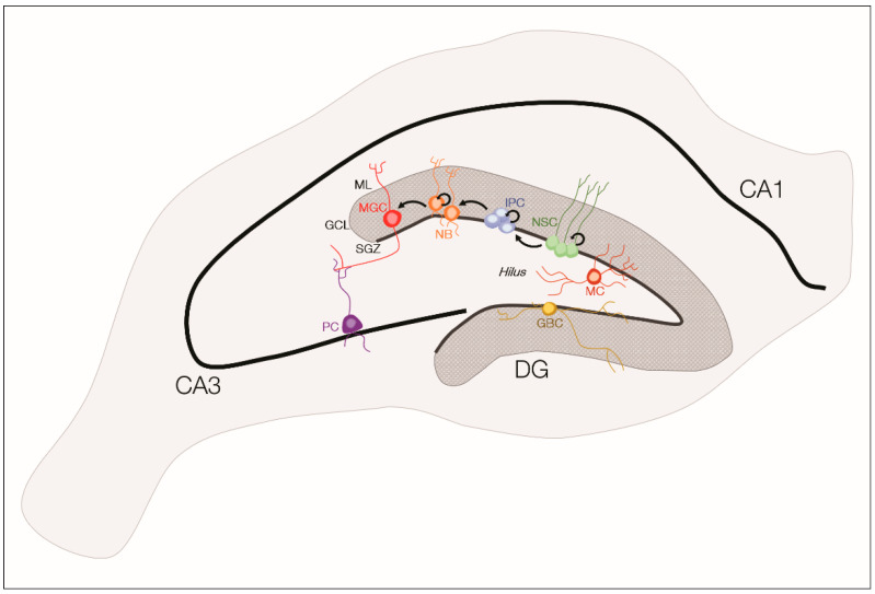 Figure 2