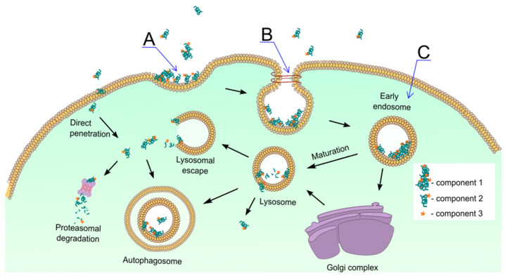 Scheme 3