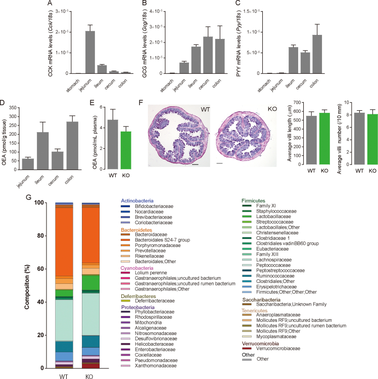 graphic file with name figs3.jpg