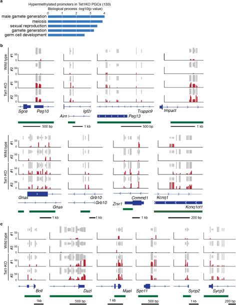 Extended Data Figure 6