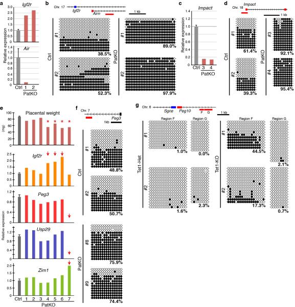 Extended Data Figure 4