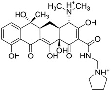 graphic file with name molecules-22-01015-i024.jpg