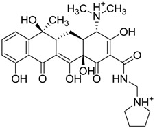 graphic file with name molecules-22-01015-i027.jpg