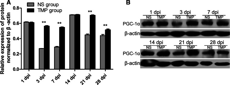 Fig. 4