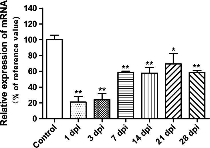 Fig. 2