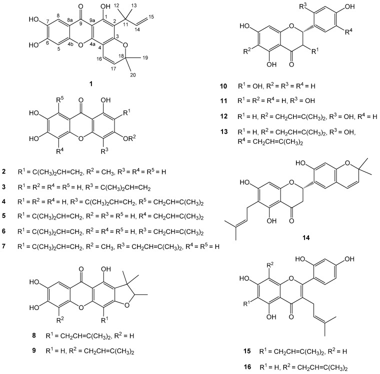 Figure 1