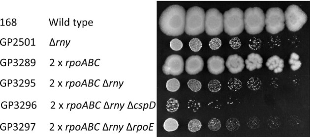 Figure 6.