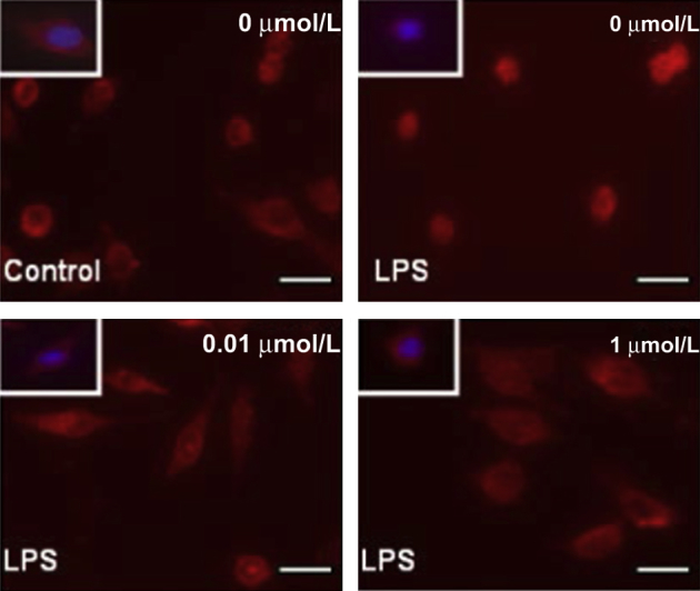 Figure 6