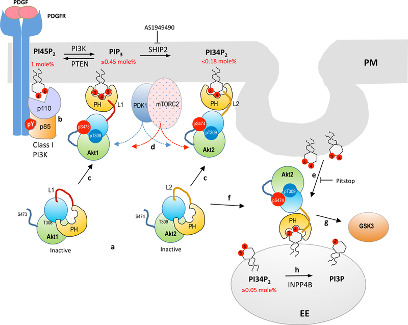 Figure 6.