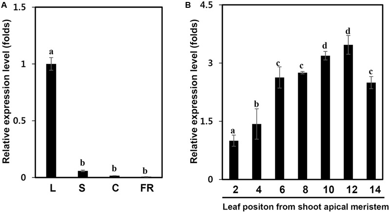 FIGURE 3