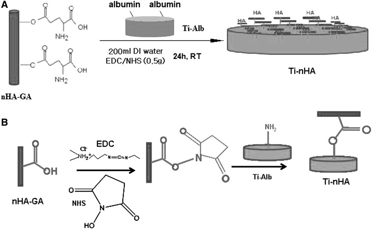 Scheme 3