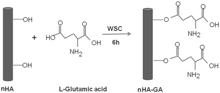 Scheme 2