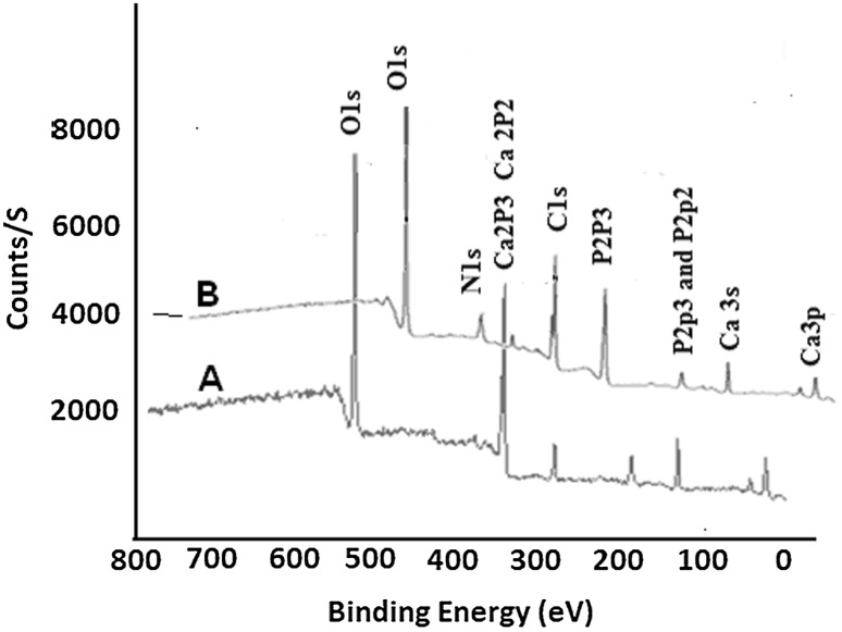 Fig. 4