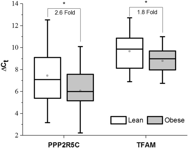 Fig. 3