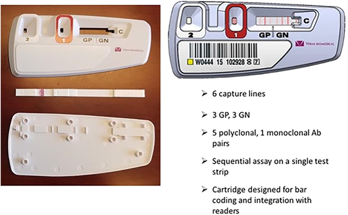 FIGURE 2