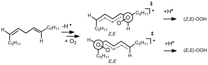 Scheme 5